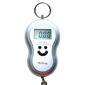 Silver Digital Luggage Scale 40kg, 88lb, 1410oz with Built in Temperature Thermometer by