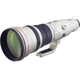 Canon EF 800mm f/5.6 L IS USM Lens