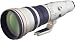 Canon EF 800mm f/5.6 L IS USM Lens