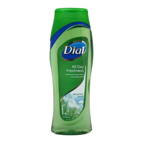 Dial Clean and Refresh Antibacterial Mountain Fresh Body Wash, 16 Ounce