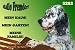 Metall - Warnschild Englischer, English Setter