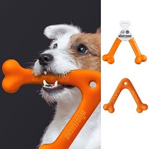 WOOFERANG DOG pet toy Boomerang