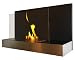 Chemin�e bio �thanole Facade en acier inoxydable dans un design moderne