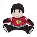 Chicago Blackhawks NHL Plush Team Mascot (9")