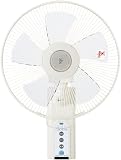 YAMAZEN 30cm壁掛扇風機リモコン（マイナスイオン） WXI-CH30(W) ホワイト