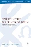 Spirit in the Writings of John: Johannine Pneumatology in Social-Scientific Perspective (Library Of New Testament Studies)