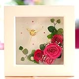 ピンク・レディー