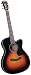 Blueridge BR-343CE Acoustic Guitar