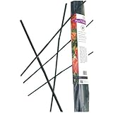 Gardeners Choice BB2 2-Feet Bamboo Stakes