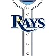 Tampa Bay Rays MLB Book Cover