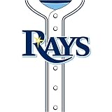 Tampa Bay Rays MLB Book Cover