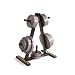 Golds Gym Weight Plate Tree