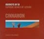 Journeys By DJ: Cinnamon (Supreme Beings of Leisure)