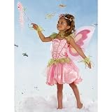 Butterfly Fairy Child Costume