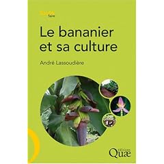 Le bananier et sa culture
