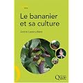 Le bananier et sa culture