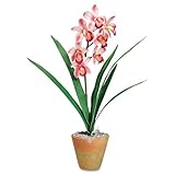 Baumgartens Artificial Pink Cymbidiums In A Terra Cotta Pot 21 Inch Overall ....