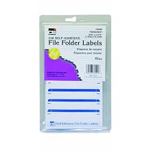 Charles Leonard Inc. File Folder Labels, 0.56 x 3.43 Inches, Blue, 248/box (45215)