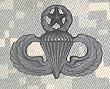 Parachutist Master - Metal Insignia - Black - Full Size