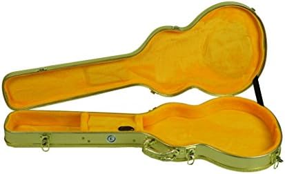 ALLEN EDEN Gold Hard Shell Guitar Case for Arch Top Les Paul