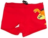 Quiksilver Mapool Boy's Trunks