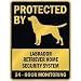 Protected By Labrador Retriever Home Security System Dog Parking Sign
