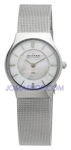Skagen Stainless Steel Mesh Ladies Watch 233XSSS