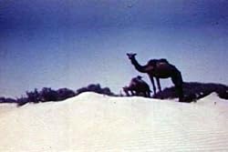 Saudi Arabian American Oil Classic Film: Desert Venture DVD (1958)