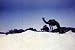 Saudi Arabian American Oil Classic Film: Desert Venture DVD (1958)
