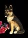 Large German Shepherd Figure