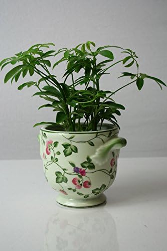 Floral and Berries Flower Pot, Round Green- With Handles