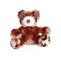 KONG Material Dog - Teddy Bear, Medium