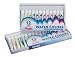 Outdoor Living : WATER COLOR PAINT SET/12