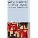 Sch�nes Leben?: Einf�hrung in die Lebenskunst (suhrkamp taschenbuch)