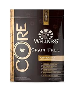 Wellness CORE Natural Grain Free Dry Dog Food, Puppy Formula Chicken & Turkey Recipe, 4-Pound Bag