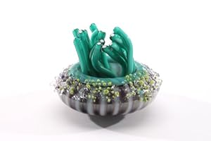 Sea Squirt