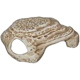 Underwater Galleries AUG5402 Sea Cave, Small