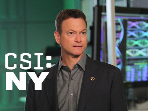 CSI New York 