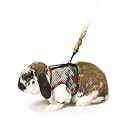 Super Pet Ferret Comfort Harness and Stretchy Large Leash, Colors Vary
