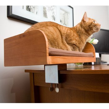 Desktop Cat Seat