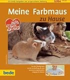 Farbmaus, zu Hause: Ein bede-Ratgeber zur artgerechten Haltung. Von den Ueberlegungen vor der Anschaffung, bis zum verantwortungsbewussten Umgang mit Farbmaeusen