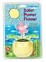 Solar Powered Dancing Flower Toy - Office Desk Accessory (Assorted)