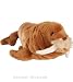 Plush Walrus Cuddlekin 12