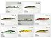 Lot of 8 Premium Minnow Type Fishing Lure Crankbaits
