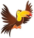 Toucan - 24