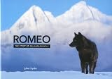 Romeo: The Story of an Alaskan Wolf