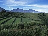 Rice Paddies, Flores Island, Indonesia, Southeast Asia Premium Photographic Poster Print by Alison Wright, 30x40 41Ru4YGIqTL. SL160 Rice Paddies, Flores Island, Indonesia, Southeast Asia Premium Photographic Poster Print by Alison Wright, 30x40