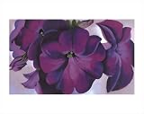 Petunias, 1925 by Georgia O'Keeffe poster print,13.9 in. x 11 in.