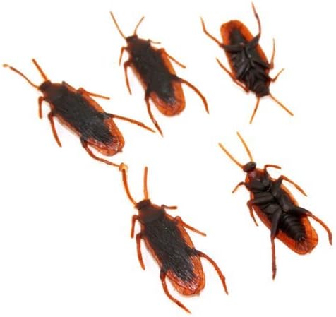 Afirst 10 Pack Trick Toys Soft Plastic Simulation Cockroaches