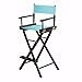 Home Decorators Collection Directors Chair Tall Frame/Bar Stool Frame, 30